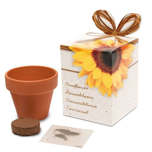 Flower pot with seeds in box - Image 4